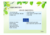 [소비자론] Hite(하이트)맥주의 성공 전략 마케팅 분석-19
