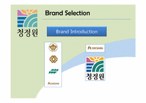 [광고관리론] 청정원의 마케팅 전략(영문)-4