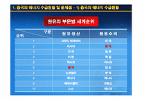 [국제무역] 중국의 지속 가능한 발전을 위한 에너지 자원 문제-10