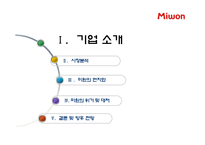 [국제경영론] 대상의 인도네시아 조미료 시장 진출 성공 전략-3