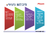 [국제경영론] 대상의 인도네시아 조미료 시장 진출 성공 전략-5
