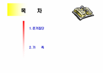 [소비자론] 준거집단과 가족-2
