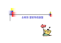 [소비자론] 소비자 정보처리 과정-1