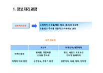 [소비자론] 소비자 정보처리 과정-3