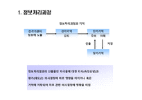 [소비자론] 소비자 정보처리 과정-4