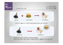 [조직행동이론] 학습(Learning)-6