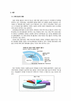 [청년발달] 십대의 임신에 관한 고찰-2