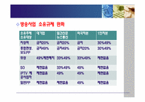 [미디어정책] 신문방송 겸영정책에 관한 고찰-6