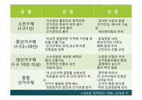 [정치학개론] 선거제도의 이해-15