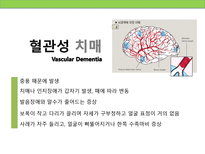 [정신보건사회복지론] 치매의 이해-13