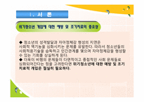 [청소년복지론] 위기청소년 개입에대한 성공적인 예방 프로그램의 공통 개념-4