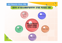 [청소년복지론] 위기청소년 개입에대한 성공적인 예방 프로그램의 공통 개념-15