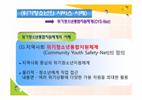 [청소년복지론] 위기청소년 개입에대한 성공적인 예방 프로그램의 공통 개념-16