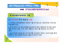 [청소년복지론] 위기청소년 개입에대한 성공적인 예방 프로그램의 공통 개념-18