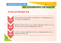 [청소년복지론] 위기청소년 개입에대한 성공적인 예방 프로그램의 공통 개념-19