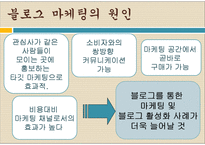 [문학과사회] 블로그 신드롬에 관한 고찰-11