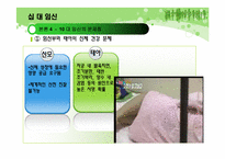 [청년발달] 십대의 임신에 관한 고찰-18