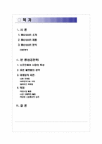 [창의설계] MICROSOFT(마이크로소프트)의 성공 전략-2