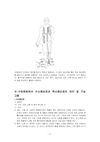 [한의학][침구과] 사암침법에서 소음경의 의미와 활용방법에 대한 고찰-5