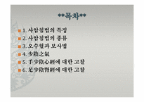 [한의학][침구과] 사암침법(소음경락)-2
