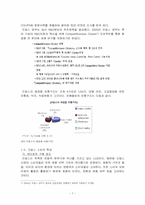 [국제경영] 아모레 퍼시픽 AMORE PACIFIC의 프랑스진출사례-7