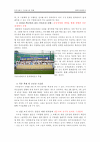 [국제경영] 천호식품 브라질 진출전략-15