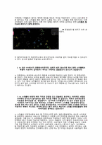 소셜 네트워크 서비스 스타플(Social Network Service, SNS -Starpl)분석-12