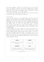 비방디 Vivendi 경영 전략-17