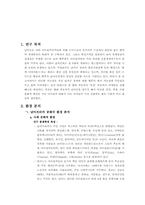 [[국제경영] 현대자동차 `투싼`을 중심으로 남아공 시장 공략-3