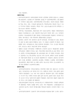[[국제경영] 현대자동차 `투싼`을 중심으로 남아공 시장 공략-4