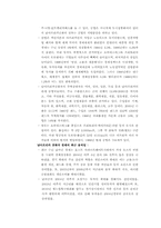 [[국제경영] 현대자동차 `투싼`을 중심으로 남아공 시장 공략-8