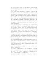 [[국제경영] 현대자동차 `투싼`을 중심으로 남아공 시장 공략-10