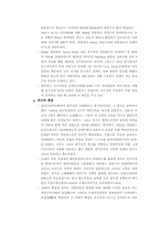 [[국제경영] 현대자동차 `투싼`을 중심으로 남아공 시장 공략-11