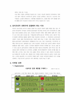 [[국제경영] 현대자동차 `투싼`을 중심으로 남아공 시장 공략-17