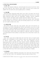 대한전선 남아프리카공화국 직접투자 계획안-3