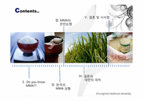 최소시장접근물량(Miminum Market Access, MMA)-2