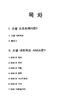 소셜 네트워크 서비스(sns)-2