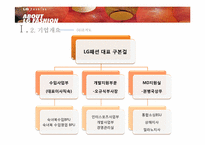 LG패션의 경영전략-12