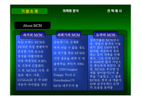 mcm 마케팅전략 레포트-6