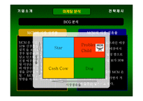 mcm 마케팅전략 레포트-12