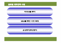 [글로벌재무전략] 아바코 글로벌 재무전략의 수립-13