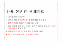[국제무역론] 제13장 경제통합-8