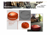 M&A 전문기업 Electrolux 일렉트로룩스-2