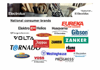M&A 전문기업 Electrolux 일렉트로룩스-12
