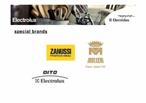 M&A 전문기업 Electrolux 일렉트로룩스-13