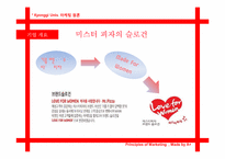 미스터 피자의 여성 마케팅 및 향후 마케팅 방안에 대한 연구-6