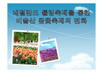 [이벤트론] 네덜란드 튤립축제를 통한 비슬산 참꽃축제의 변화-1