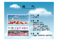 [이벤트론] 네덜란드 튤립축제를 통한 비슬산 참꽃축제의 변화-2