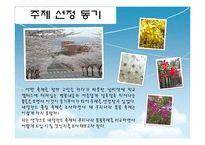 [이벤트론] 네덜란드 튤립축제를 통한 비슬산 참꽃축제의 변화-3