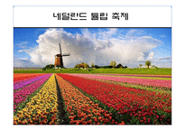 [이벤트론] 네덜란드 튤립축제를 통한 비슬산 참꽃축제의 변화-4